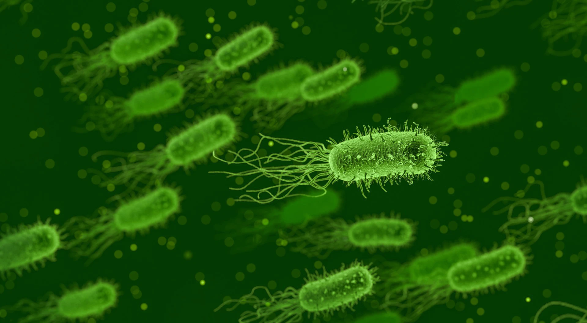 Leben mit einer intakten mikrobiellen Besiedelung